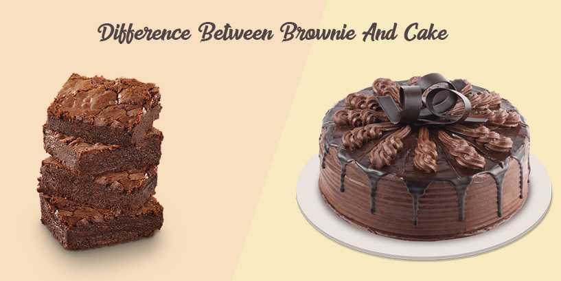 Different types of Cakes | The Importance of Cake in our Lives - JOL E –  jolevents